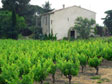 Villetelle